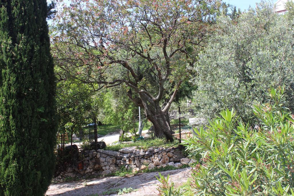 מליני Apartment Fran And Lucia מראה חיצוני תמונה